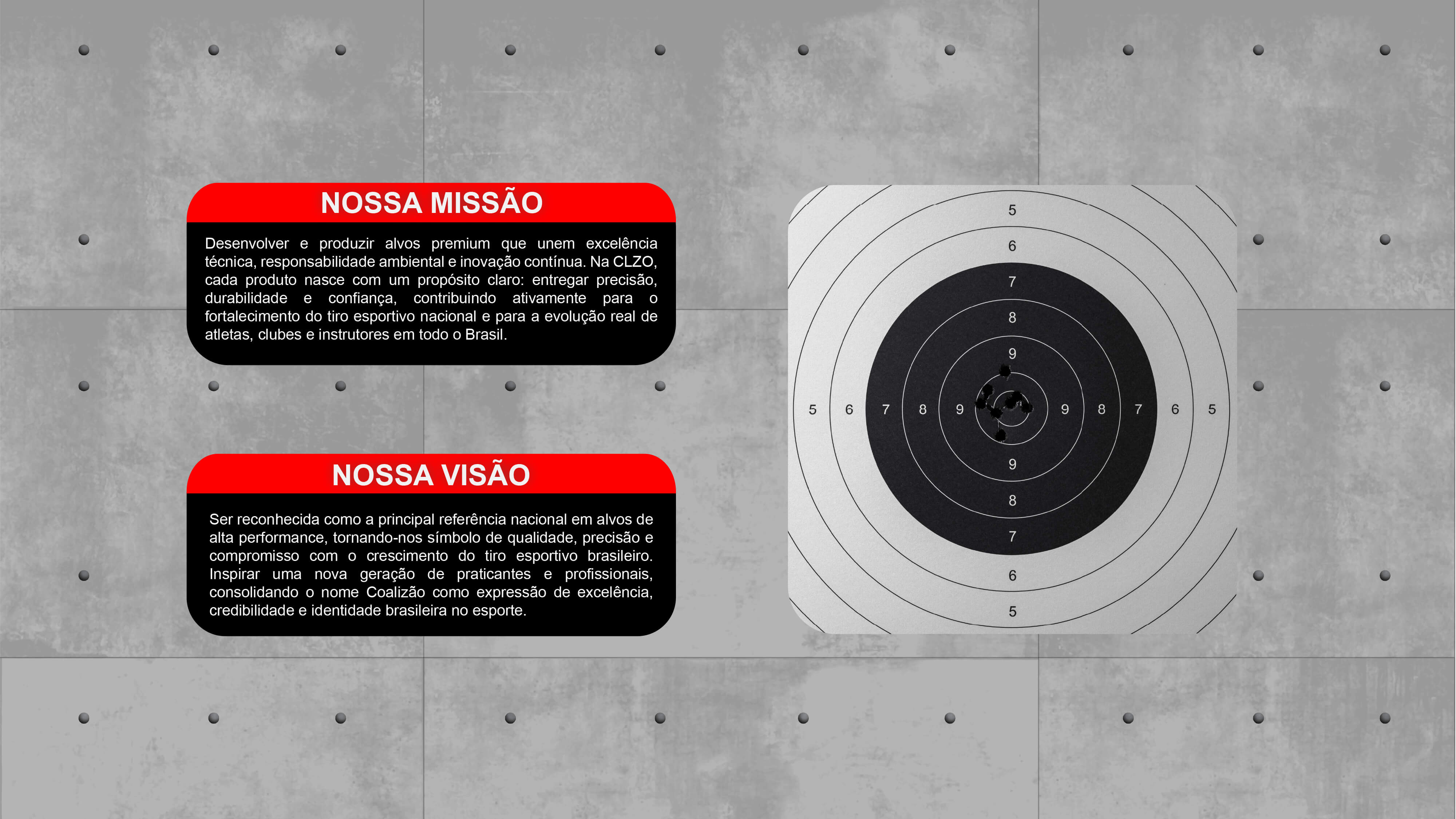 Imagem sobre a Alvos Coalizão